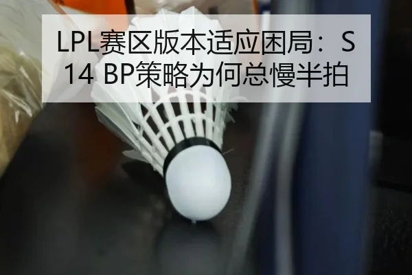 sai-qu-ban-ben-shi-ying-kun-ju-ce-lve-wei-he-zong-man-ban-pai-2-688.jpg
